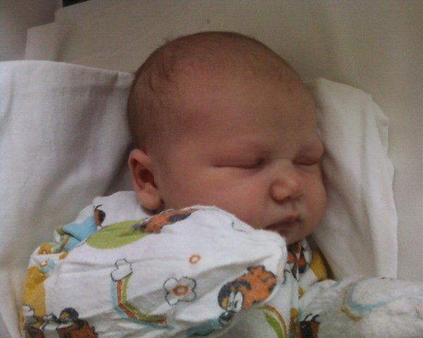 Илья Манаенков