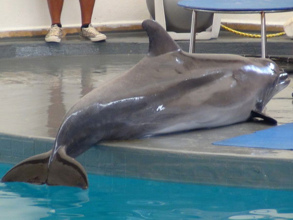 Владислав Кимирилов