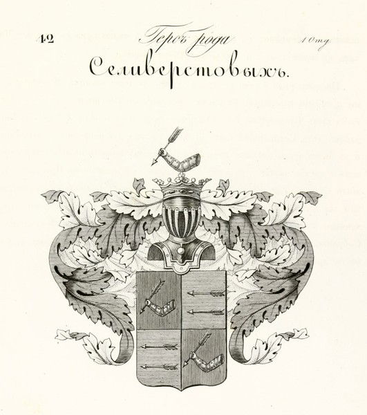 Владимиринаталья Селиверстовы