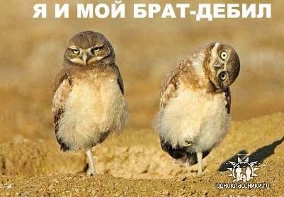 Алексей Давыденко