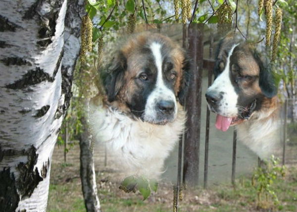 Ирина Григорьева