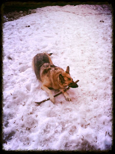 Саша Евстигнеев