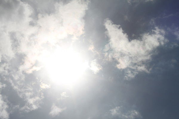 Светлана Олейник