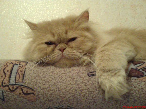 Игорь Бабенко