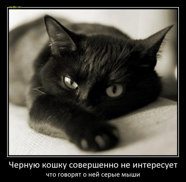 Ирина Тарасенко