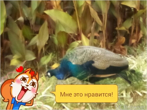 Семен Семенов