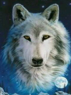 Геннадий Балла