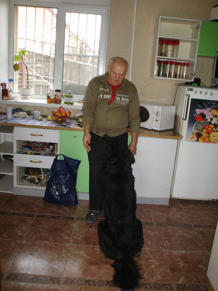 Вадим Дементьев