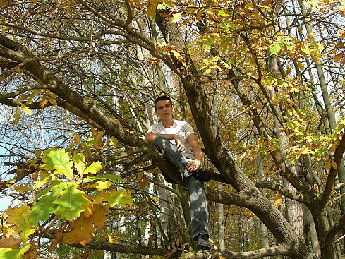 Алексей Кузнецов