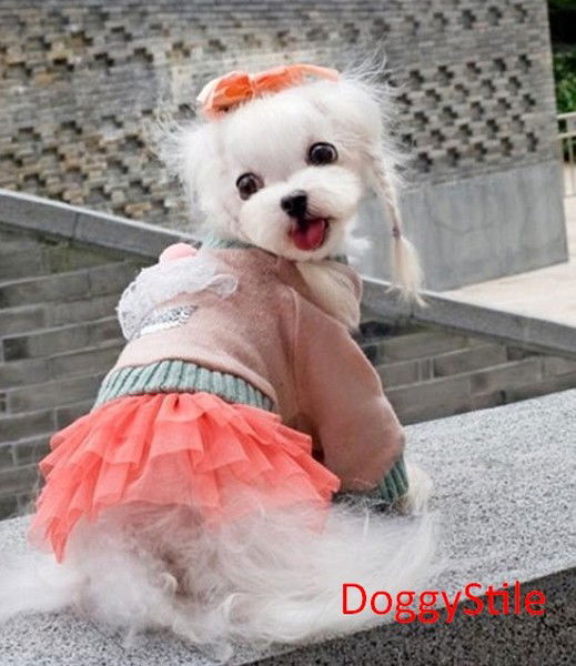 Doggystile Одежд .