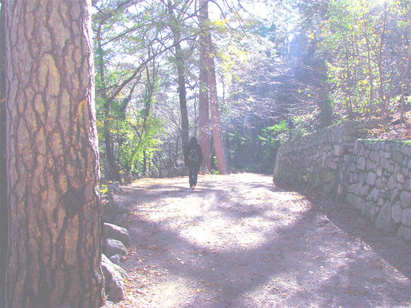 Алина Блащук