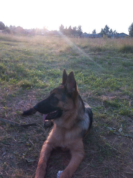 Дмитрий Калугин