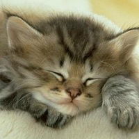 Надежда Чуракова