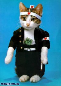 Владимир Морейнс