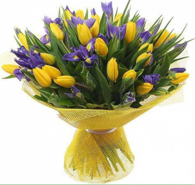 Ани Алиханян