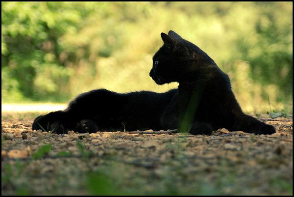 Ольга Лебедева