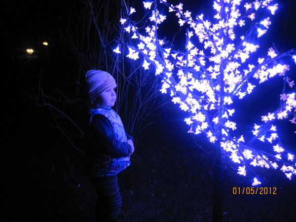 Лида Олихвер