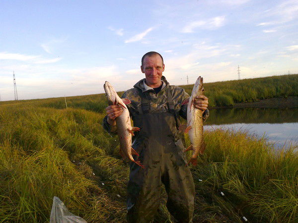 Александр Савченко