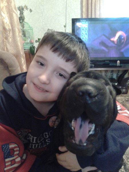 Владимир Тришин