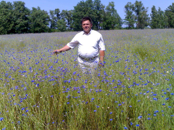 Владимир Задерей