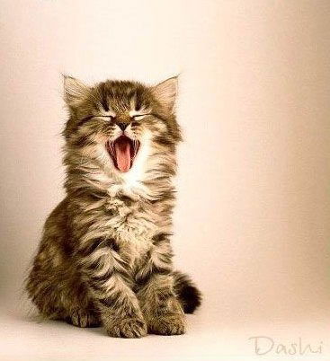 Анна Николаева