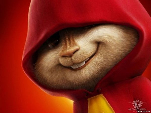 Владимир Бобровский