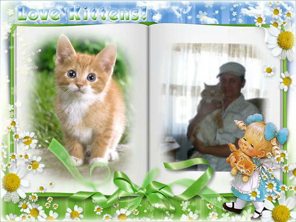 Александр Квашнин