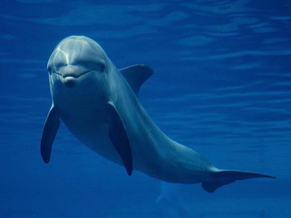 Татьяна Фролова