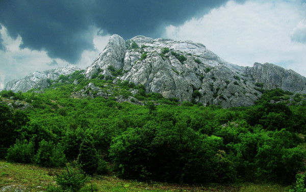 Лана Вольская