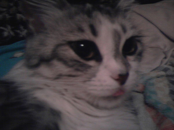 Оксана Бабич