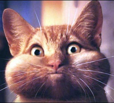 Сергей Кайдалов