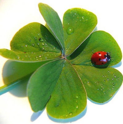 Зульфия Закирова