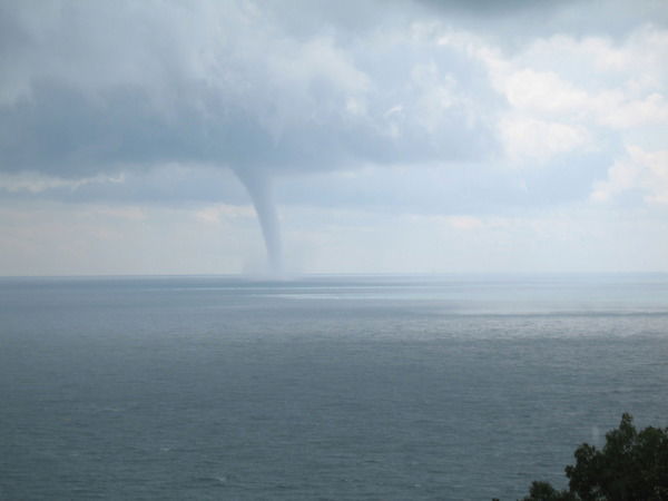 Юлия Лесная