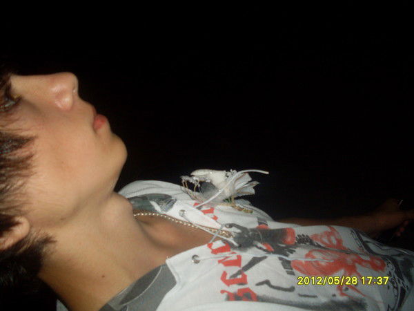 Адриан Гервас