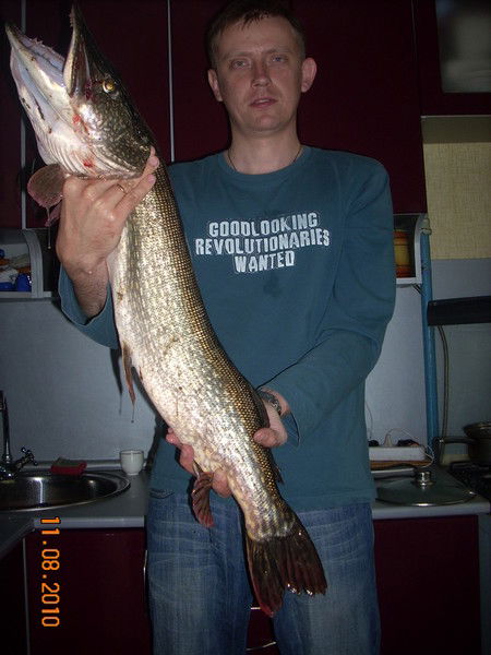 Андрей Шмыров