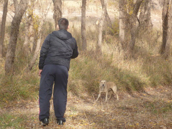 Андрей Иванов
