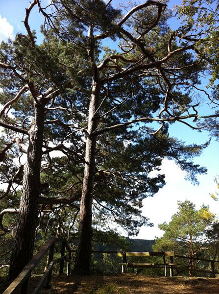 Наталья Петерс