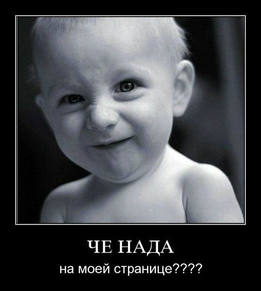 Данила Шульженко