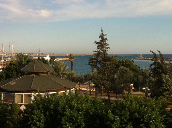 Роман Савоськин