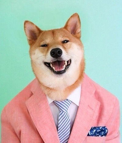 Александр Мысак