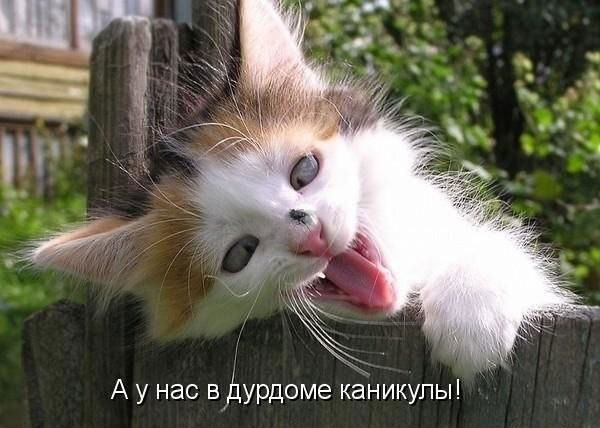 Дмитрий Леонов