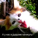 Дмитрий Леонов