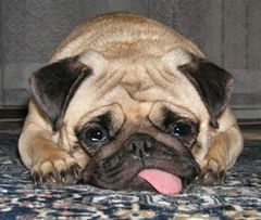 Татьяна Рахматулина