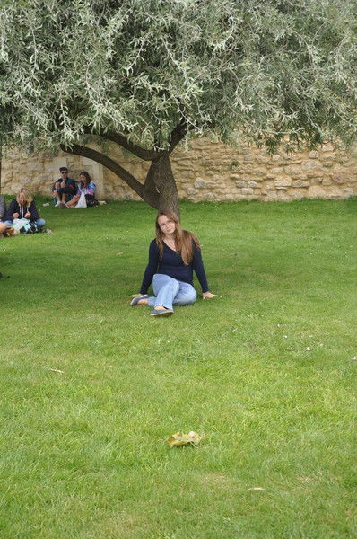 Дария Португальская