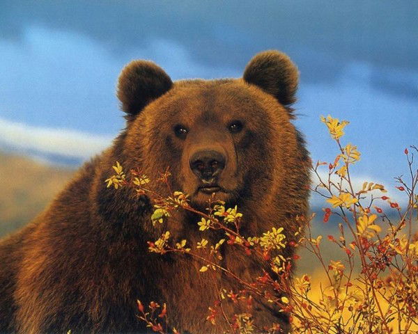 Федор Топал