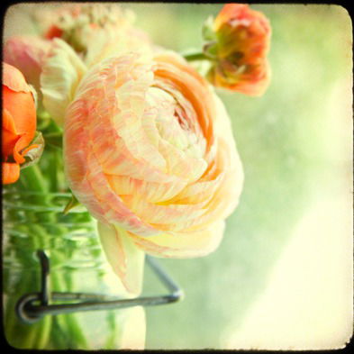 Беспечный Студент