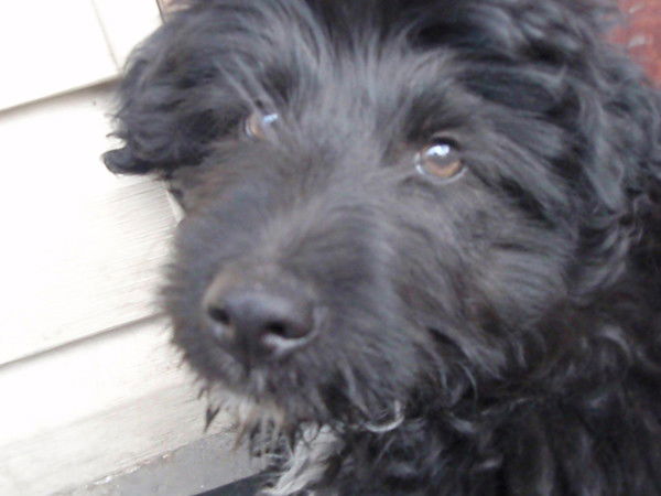 Наталья Кирпичникова