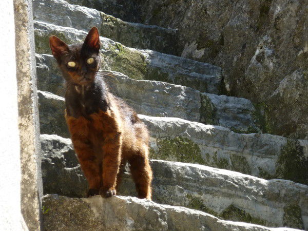 Ирина Гилярова