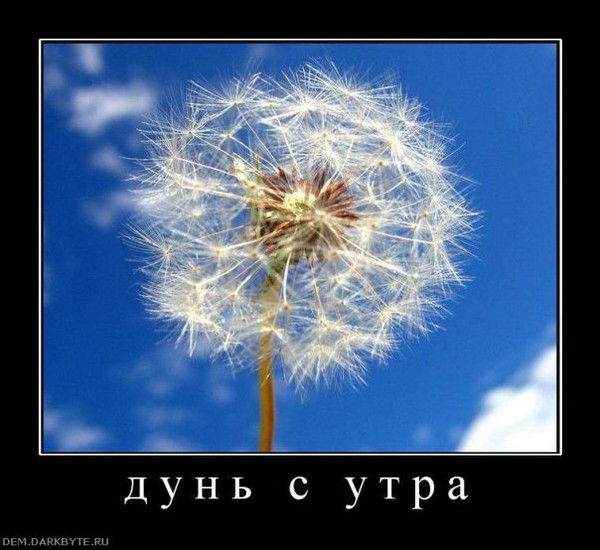 Дмитрий Павловский