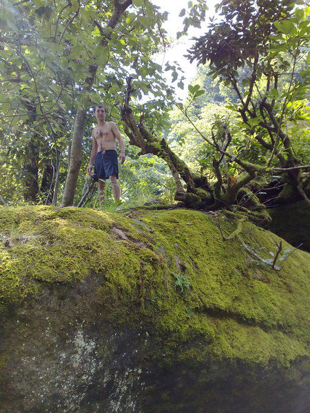 Алексей Кошуков